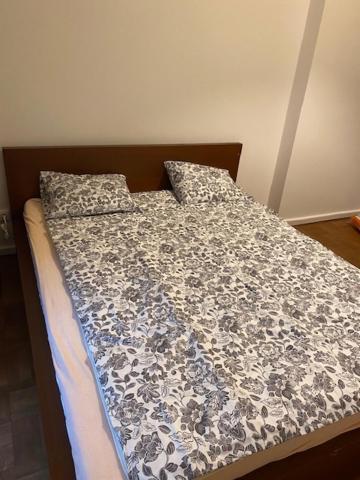 Large 3 Bedroom Family Apartment Close To The River Prag Eksteriør billede